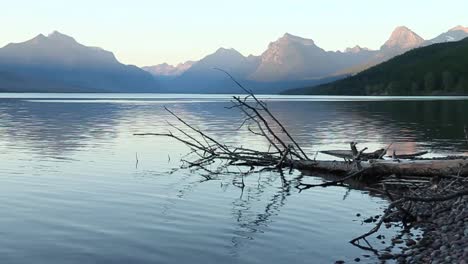 A-view-across-Lake-MacDonald-at-sunset-with-a-tree-in-the-foreground,-Glacier-National-Park,-Montana,-USA