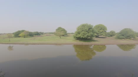 Hermoso-Lago-Cerca-De-Un-Bosque-Tropical-En-Jamnagar,-Gujarat,-India