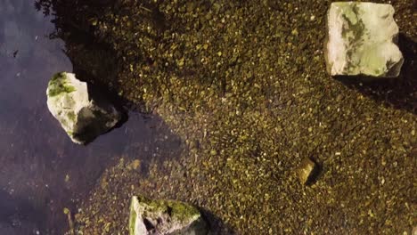 Aerial-footage-of-Shallow-stream-with-rocks-and-pebbles