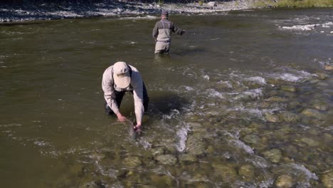 Pescador-Con-Mosca-Liberando-Salmón-En-El-Río-Gulkana-Cerca-De-Gakona-En-Alaska
