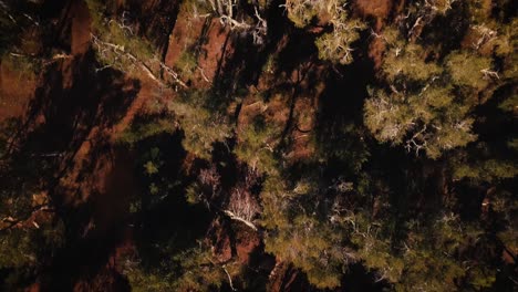 Aerial-Drone-birds-eye-flying-through-Australian-Desert-Oasis-Billabong