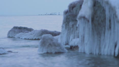 Small-waves-breaking-against-the-ruins-of-Karosta-Northern-Forts-fortification-on-the-shore-of-Baltic-sea-on-a-cloudy-winter-day,-covered-with-ice,-snow-and-icicles,-birds-on-piles,-medium-shot