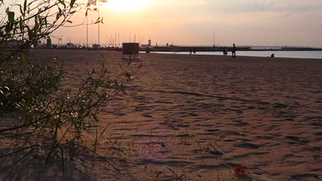 beach-view-at-sunset-close-to-the-ground-with-footsteps