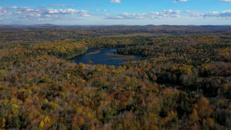 Aerial-footage-flying-in-towards-a-pond-in-a-late-autumn-forest