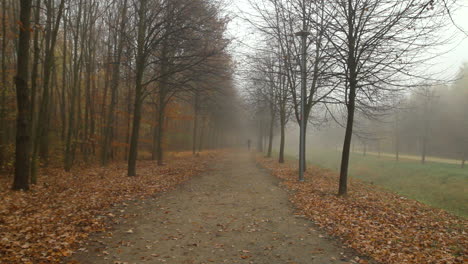 A-man-is-walking-on-a-foggy-city-park-path-in-autumn