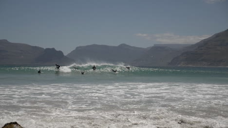 Cámara-Lenta-De-Surfistas-A-Lo-Largo-De-La-Costa-De-Sudáfrica