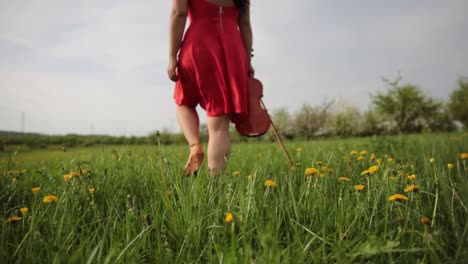 a-red-dress-girl-with-a-violin-walking-in-the-grass