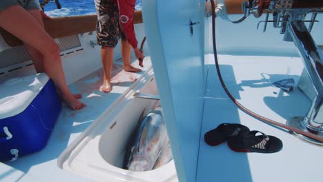 Reveal-of-man-rinsing-wild-tuna-in-a-yacht-cooler