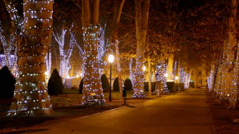 Zrinjevac-Mit-Weihnachtsbeleuchtung-In-Der-Nacht
