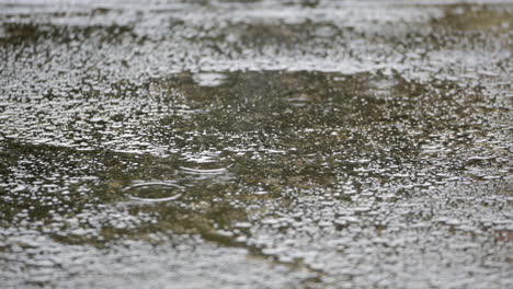 Close-up-shot-of-steady-rain-on-pavement-during-daytime