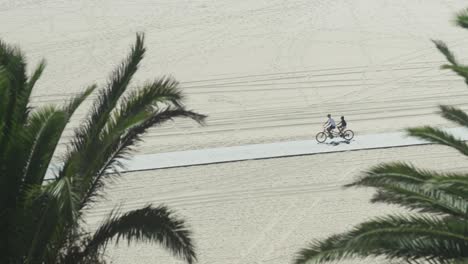 Cyclist-cycling-on-path-through-palm-trees-in-Santa-Monica