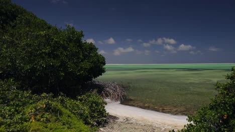Die-Rosa-Und-Grünen-Salzpfannen-Und-Seen-Von-Bonaire