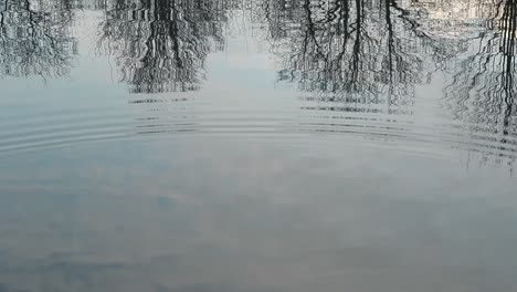 Ripples-in-a-lake-with-tree-reflections