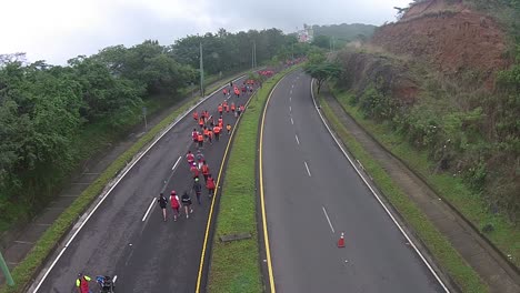 Group-of-people-participating-in-a-walk-recorded-from-a-drone