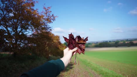 Womans-hand-holding-autumn-leaf-outdoors-on-sunny-day