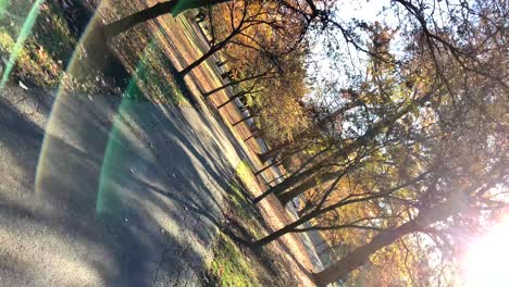 Barrel-roll-view-of-lonely-walk-through-beautiful-autumn-park