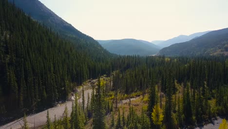 Aerial-Daytime-Medium-Wide-Shot-Moving-Right-And-Turning-Left-Showing-A-Swift-Steep-River-Flowing-Through-An-Autumn-Pine-Forest-Down-A-Valley-Between-Rocky-Mountain-Peaks-in-Alberta-Canada