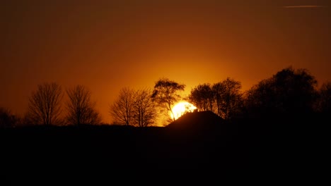 Schöner-Sonnenuntergang-über-Bäumen-In-Der-Nördlichen-Hemisphäre