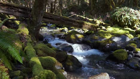 Water-cascading-over-moss-covered-rocks-on-a-warm-spring-day