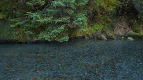 A-slow-moving-clear-water-creek-with-snow-falling-in-Alaska
