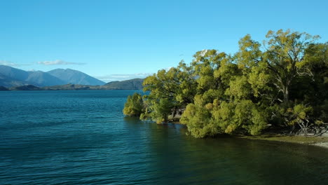 Toma-De-Pedestal:-La-Escena-Comienza-Con-Patos-Nadando-En-El-Lago-Wanaka-Y-Termina-Con-Una-Toma-Amplia-Del-Lago-Con-Los-Alpes-De-Nueva-Zelanda-Al-Fondo