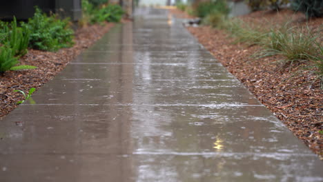 Rainy-day-view-of-a-a-sidewalk-close-up-with-blurred-background