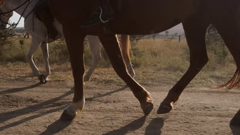 2-horses-walking-on-a-unpaved-road-in-Kenya