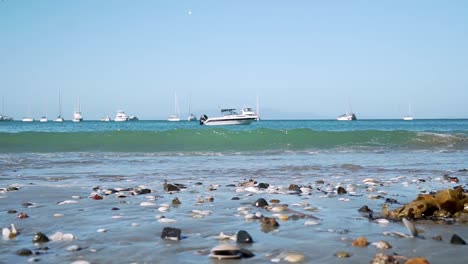 Slowmo---Niedrige-Nahaufnahme-Von-Algen-Und-Muscheln-Mit-Wellen-Und-Segelbooten-Im-Hintergrund-Auf-Der-Insel-Waiheke,-Neuseeland