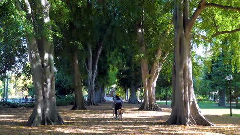young-asian-women-riding-citybike-between-tree-in-brisbane-cbd-botanic-garden,-brisbane-city-council