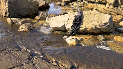 Ocean-water-running-from-rock-pool-over-rocks