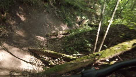 Riding-downhill-and-jumping-with-the-MTB-bicycle-in-Lithuanian-forest