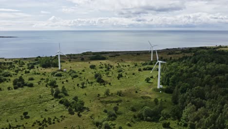 Aerial-of-wind-turbines-near-coast-in-Saaremaa-Estonia