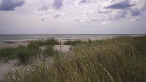 a-empty-beach-with-reed-and-clouds-moving-in-the-distance