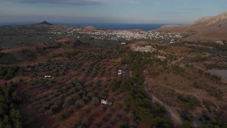 Aerial-of-olive-tree-plantation-in-front-of-small-village-with-sea-view,-rhodes