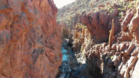 Aerial-cinematic-shot-going-up-inside-a-popular-giant-cactus-canyon-near-San-Pedro-de-Atacama-in-the-Atacama-Desert,-northern-Chile,-South-America