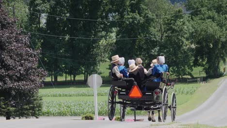 An-Amish-Open-Horse-and-Buggy-with-Family-Riding-along-the-Road-on-the-Countryside