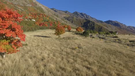 A-drone-captures-aerial-footage-of-an-alpine-meadow-in-the-fall-as-tree-leaves-change-color-into-brilliant-reds-and-yellows