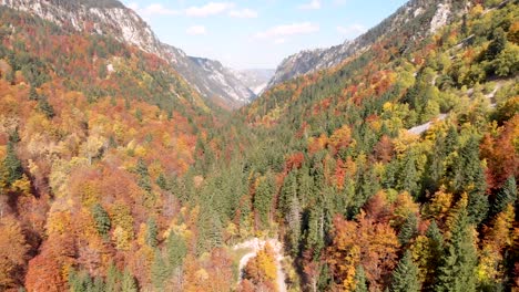 Aerial-view-of-incredible-fall-colors-in-the-Durmitor-National-Park-in-Montenegro