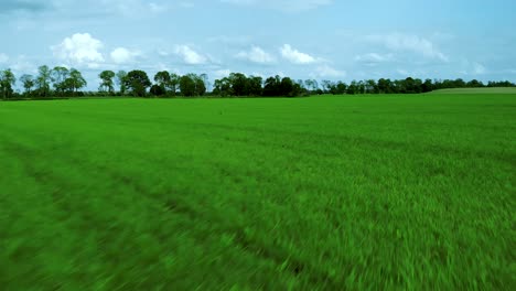 Luftaufnahmen-über-Grasfeld,-Grüner-Rasen-Und-Blauer-Himmel,-Naturlandschaft-Auf-Dem-Dorf,-Filmisches-Bild,-Das-Von-Einer-Drohne-Aufgenommen-Wurde