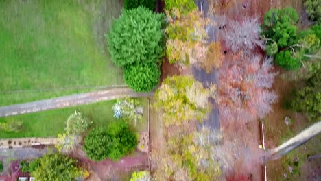 Aerial-footage-along-autumn-trees-in-Honour-Avenue-in-Macedon,-central-Victoria,-Australia