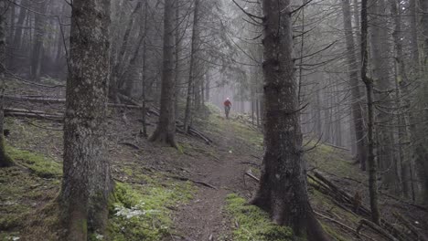Mountain-biker-riding-in-a-foggy-forest-under-the-rain
