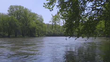 A-river-in-Iowa-surrounded-by-trees,-one-is-hanging-over-the-river