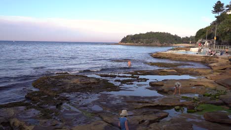 Wunderbare-Landschaft-In-Sydney,-Australien-Mit-Grünen-Bäumen-Und-Ruhigem-Ozean-Bei-Sonnenuntergang---Breite-Aufnahme