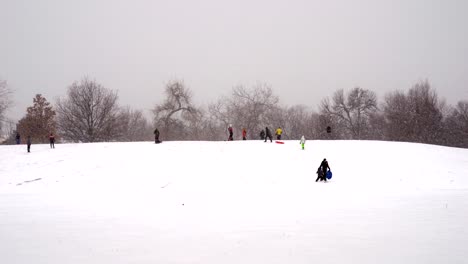 People-playing-in-the-park-during-in-snowy-weather