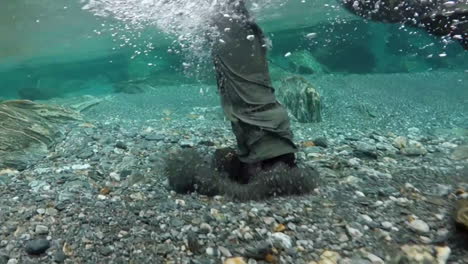 Unterwasseraufnahmen-Eines-Mannes,-Der-In-Einem-Wasserdichten-Anzug-Und-Stiefeln-In-Den-Fluss-Rennt