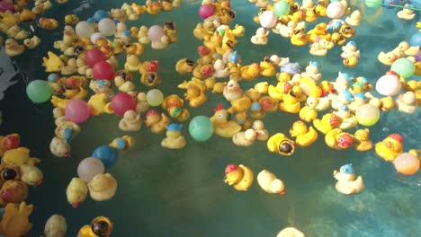 Colorful-plastic-duck-fishing-game-from-an-amusement-theme-park