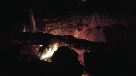 Bonfire-al-night-in-a-forest,-close-up-shot-4K