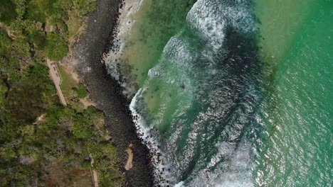 Looking-vertically-at-small-waves-breaking-on-rocky-beach-adjacent-walking-track-bright-summers-day,-drone