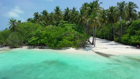 Playa-Exótica-Paradisíaca-Con-Arena-Blanca-Aislada-Bajo-La-Sombra-De-Palmeras-Y-Vegetación-Exuberante,-Bañada-Por-Aguas-Tranquilas-Y-Claras-En-Maldivas