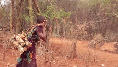 Ein-Junges-Mädchen,-Das-Sich-Auf-Ihrem-Rücken-Um-Brennholz-Kümmert-Und-In-Einem-Halbtrockenen-Gebiet-In-Kenia-Afrika-Spazieren-Geht